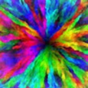 Meet your Posher, Ella